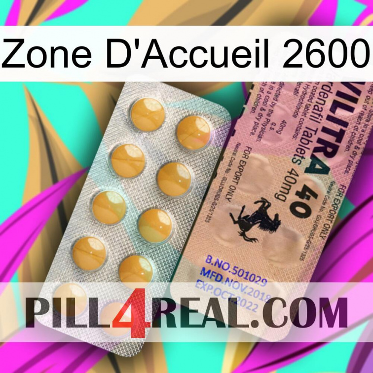 Home Zone 2600 41